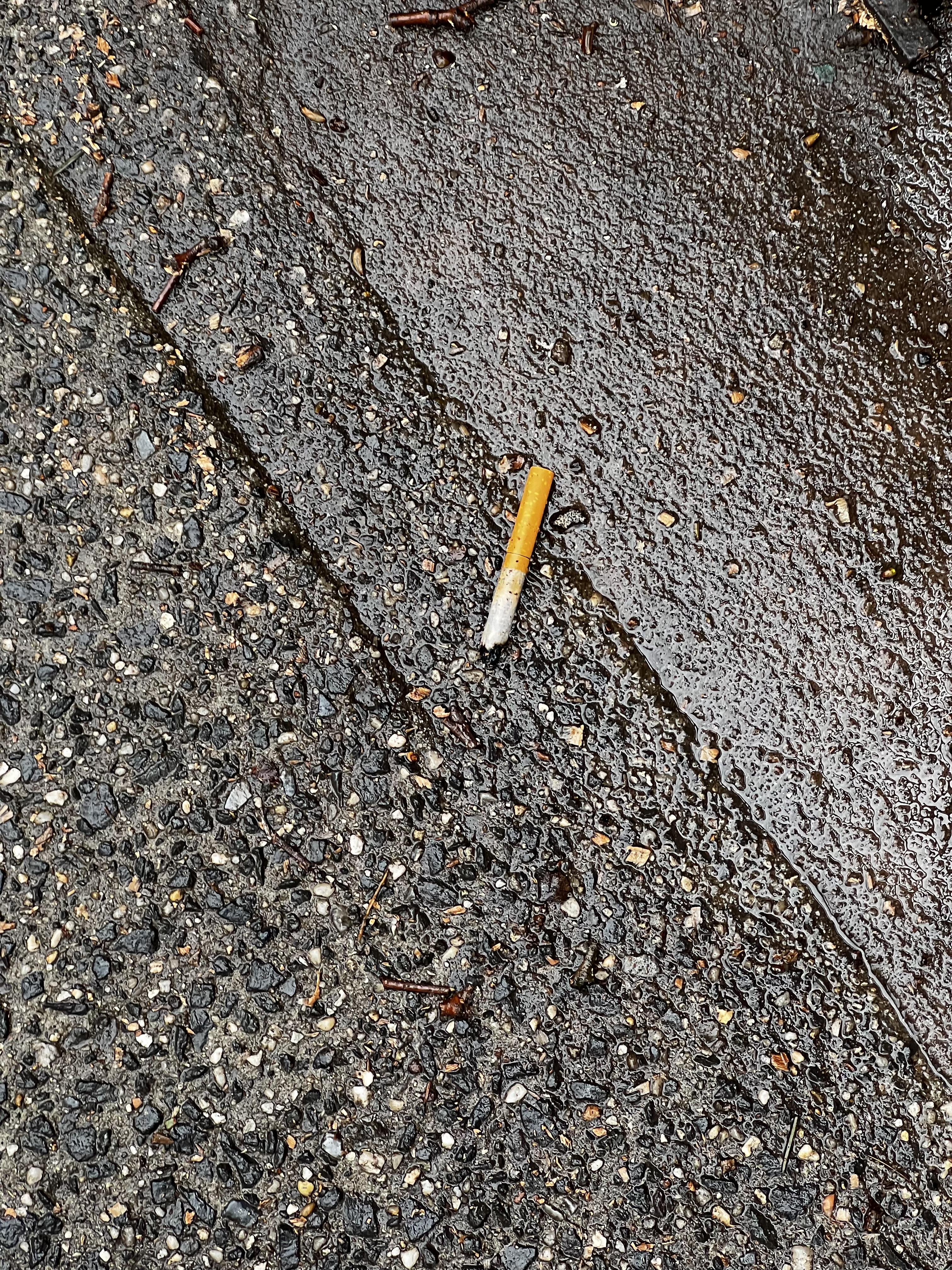 cig