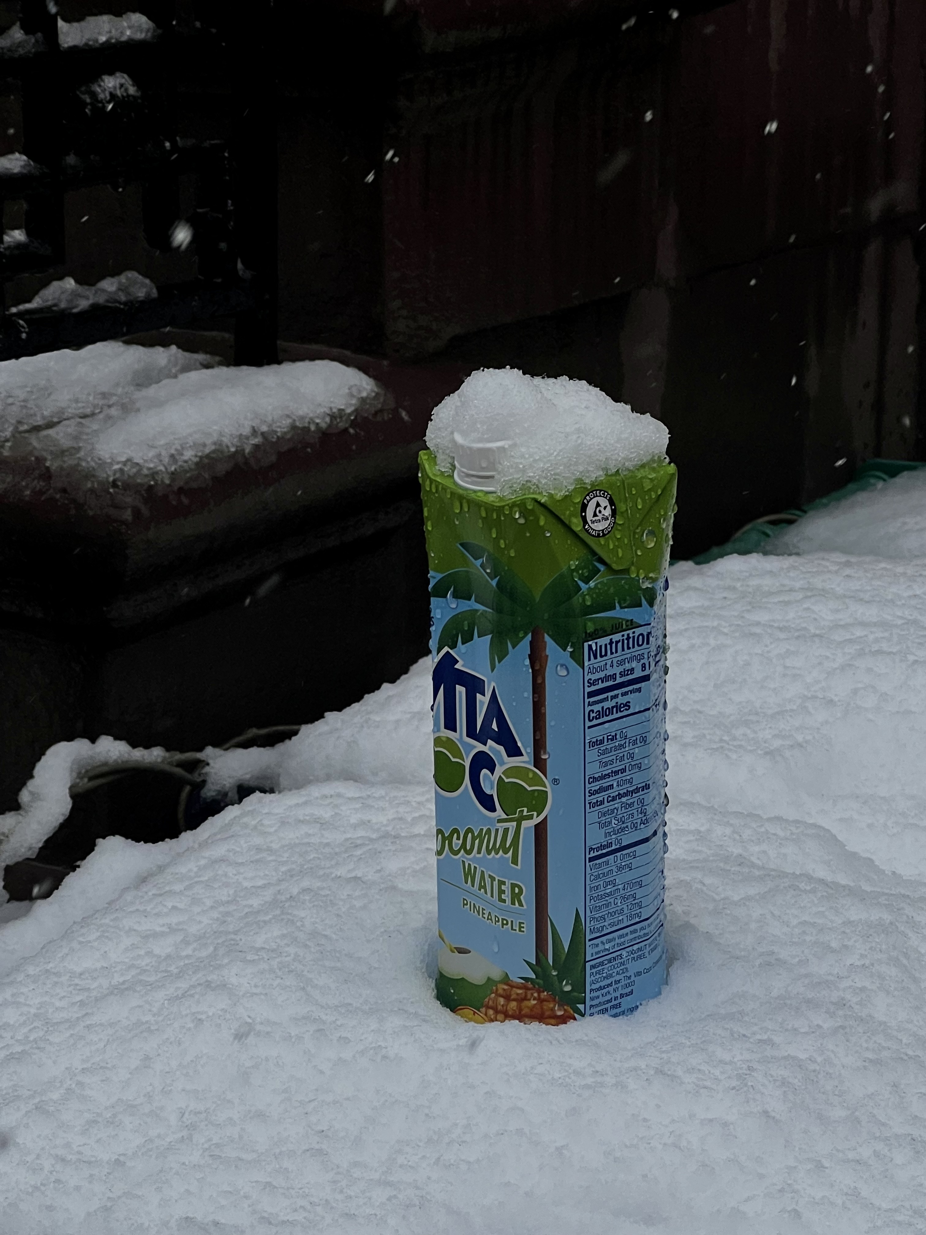 coconut