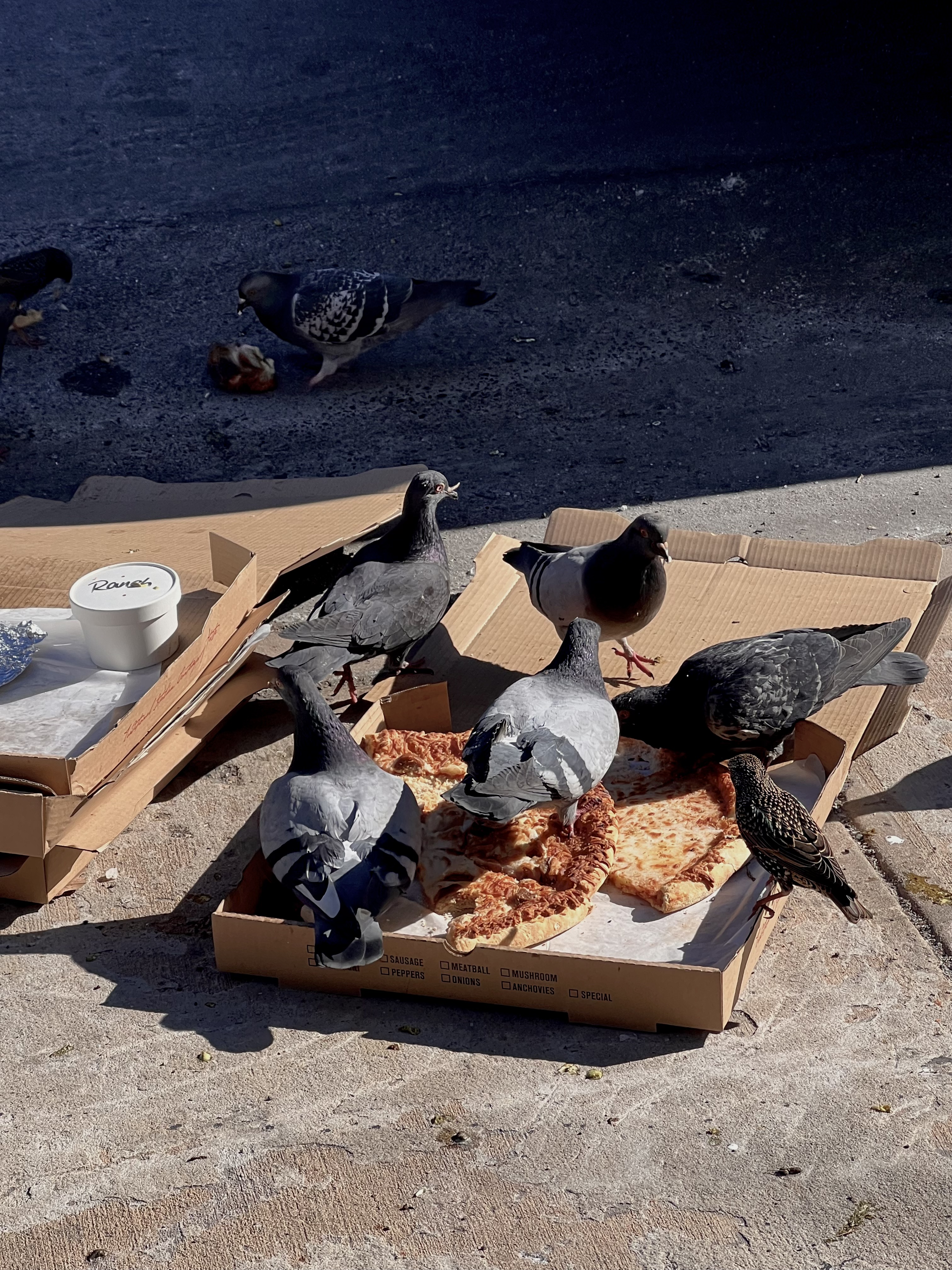 pizza